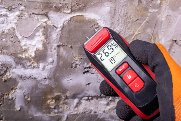 Best Best Mold Removal Companies  in Mcelhattan, PA