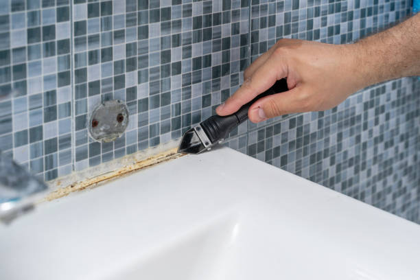 Best Mold Removal Company Near Me  in Mcelhattan, PA