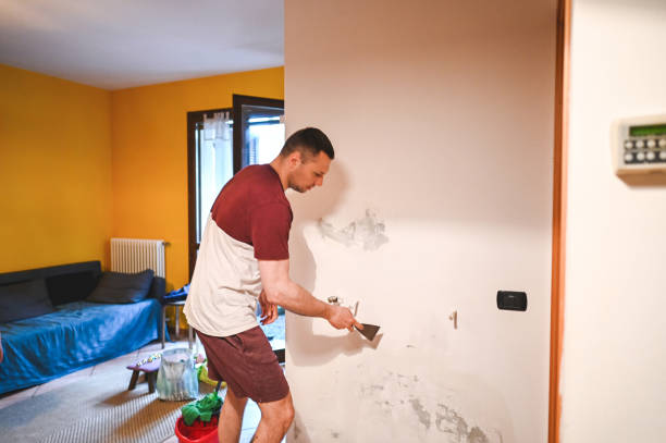 Best Home Mold Removal  in Mcelhattan, PA